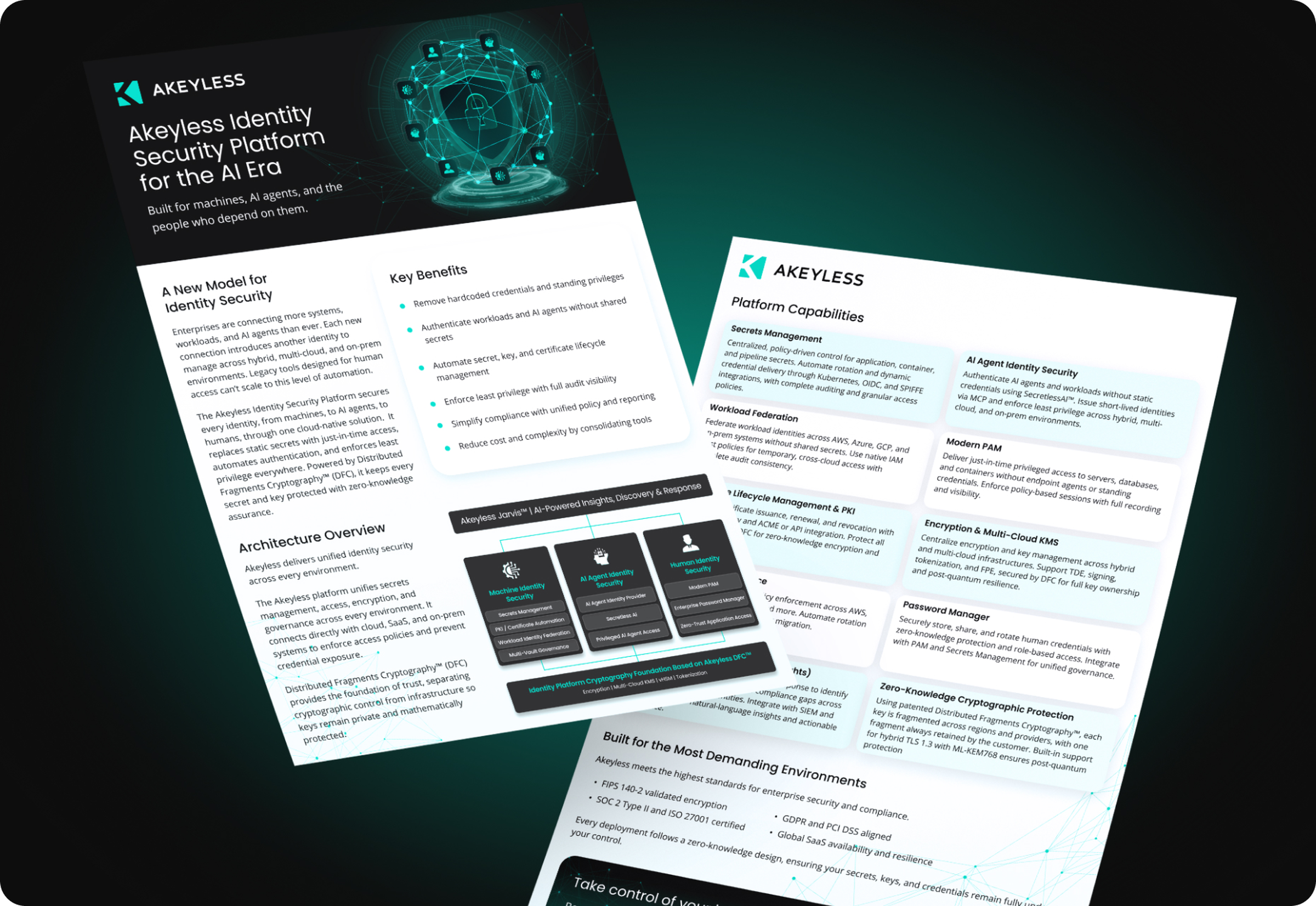 Akeyless platform overview documents